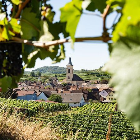 Braviscasa - Ferienresidenz Haus Am Bach Vogtsburg Am Kaiserstuhl Экстерьер фото