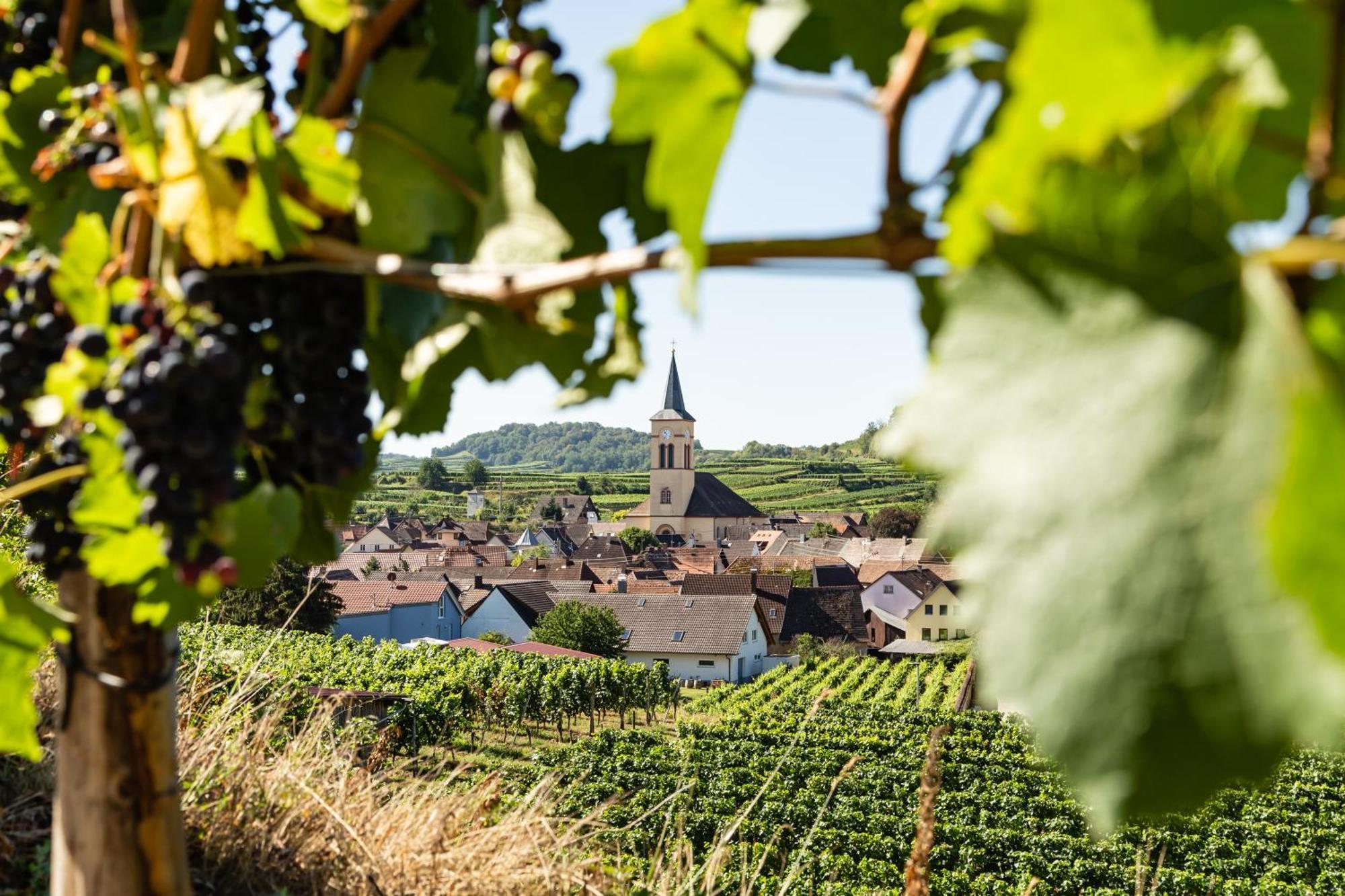 Braviscasa - Ferienresidenz Haus Am Bach Vogtsburg Am Kaiserstuhl Экстерьер фото